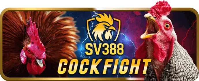 Cá cược đá gà trực tuyến tại bet8go